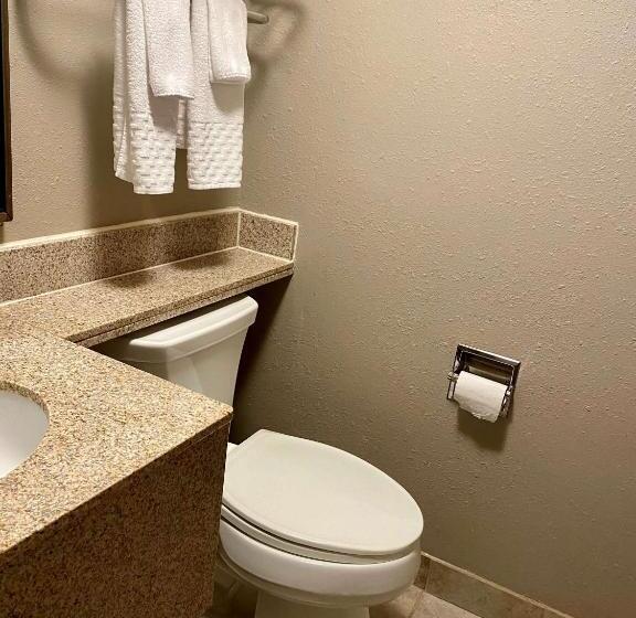 Люкс, Best Western Plus Kelly Inn