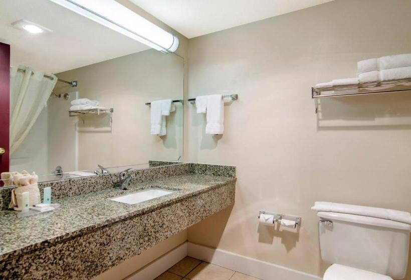 Стандартный Номер Кровать Кинг, Quality Inn & Suites