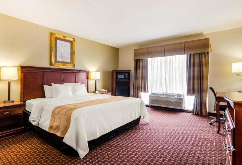 Номер Стандарт Кровать Кинг Адаптированный для Инвалидов, Quality Inn & Suites