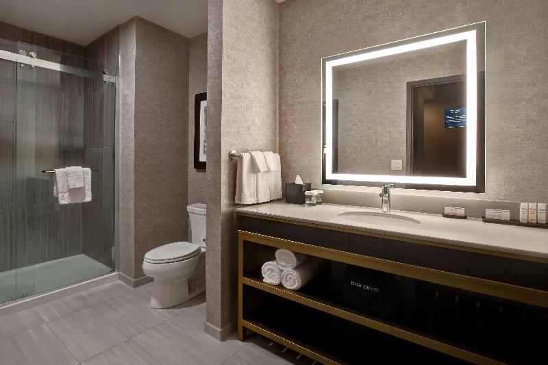 Suite King Size Seng, Embassy Suites By Hilton Rockford Riverfront