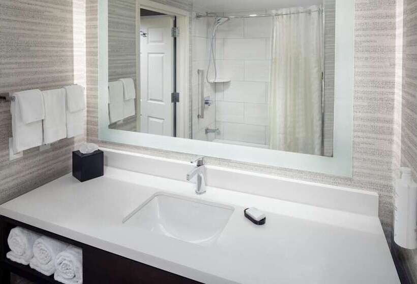 Suite King Size Seng, Embassy Suites By Hilton Rockford Riverfront