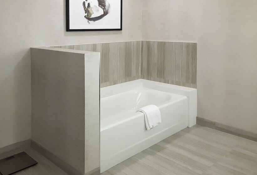 장애인을 위한 스위트, Courtyard By Marriott Los Angeles Monterey Park