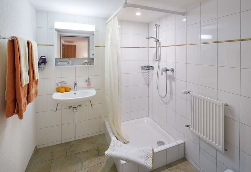 Номер Стандарт Вид на Сад, Historische Residenz Lindeneck