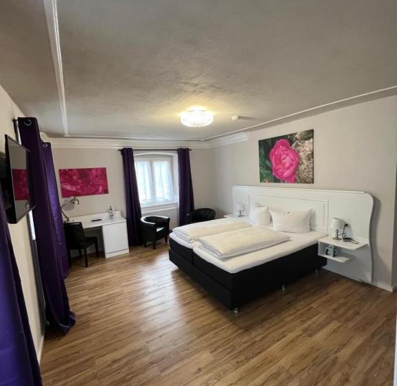 Номер Deluxe, Brauereigasthof Bären