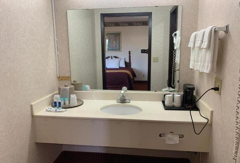 Номер Deluxe Кровать Кинг, Regency Inn