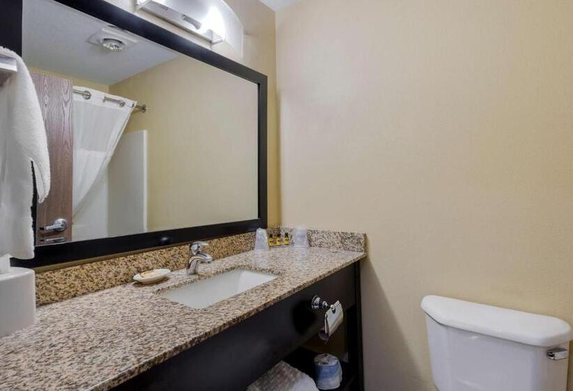 Люкс Кровать Кинг, Best Western Cascade Inn & Suites