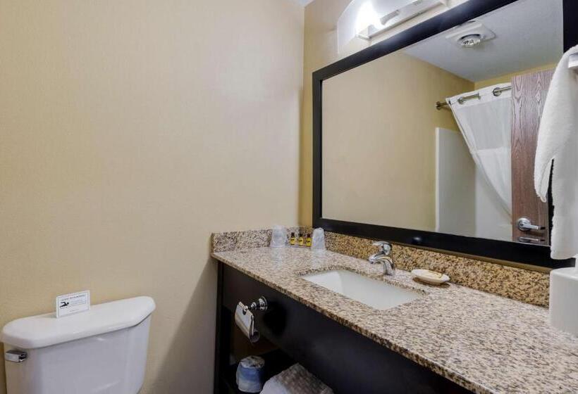 Стандартный Номер Кровать Кинг, Best Western Cascade Inn & Suites