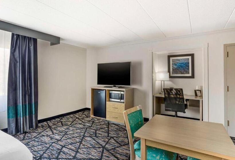 带大床的套房, Best Western Westgate Inn