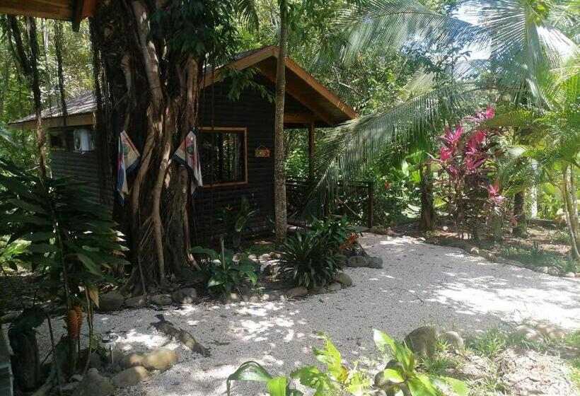 스탠다드 룸, Casa El Colibrí