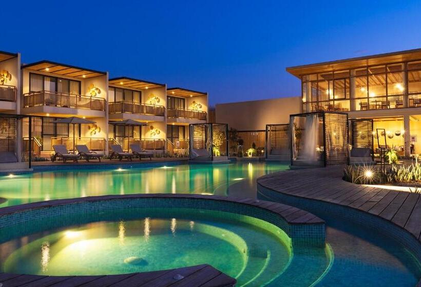 اتاق لوکس, Norte Suites Boutique