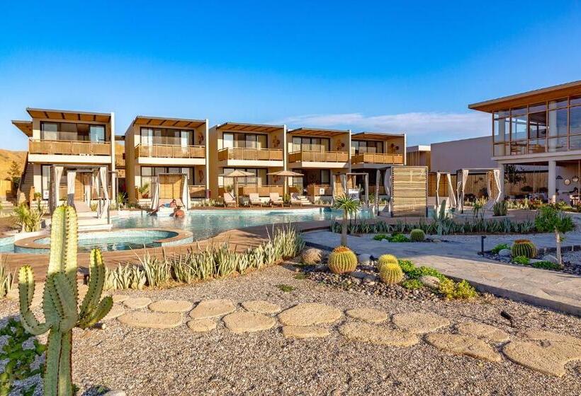 اتاق لوکس, Norte Suites Boutique