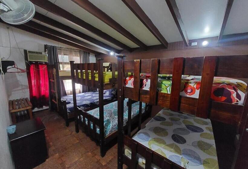 共用房间的床, Nice Place Hostel