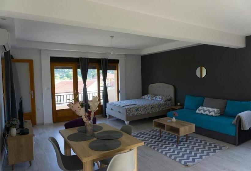استودیوی استاندارد, Apartments Ena
