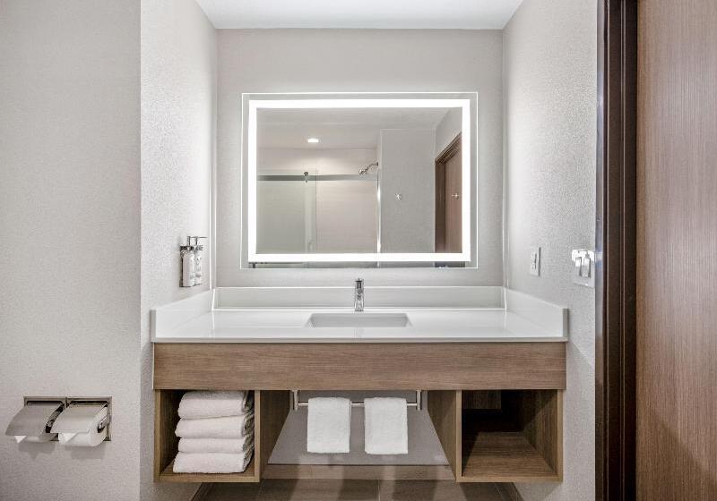 Стандартный Номер Кровать Кинг, Holiday Inn Express San Diego South   National City, An Ihg
