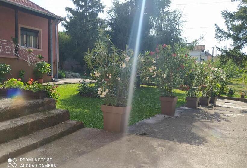 آپارتمان 1 خوابه همکف, Apartment & Rooms Aleksandar