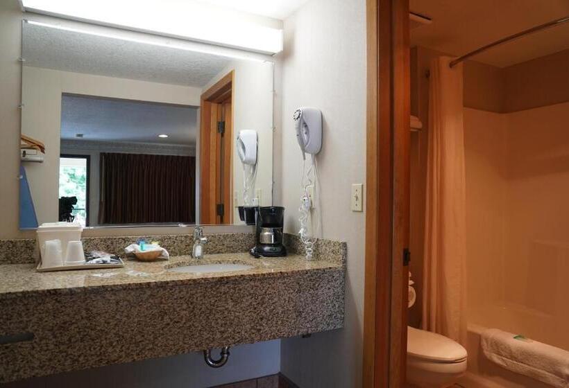 Номер Deluxe, College Inn
