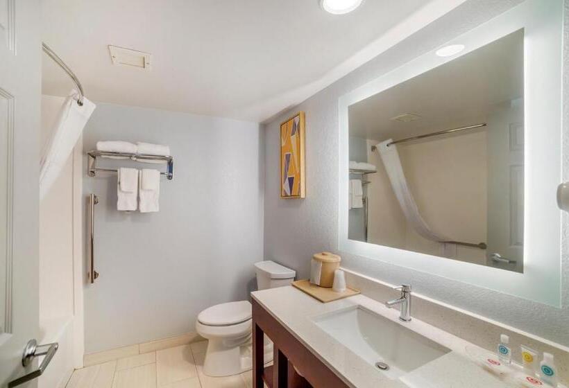 اتاق استاندارد با تخت بزرگ, Comfort Inn Asheville Airport