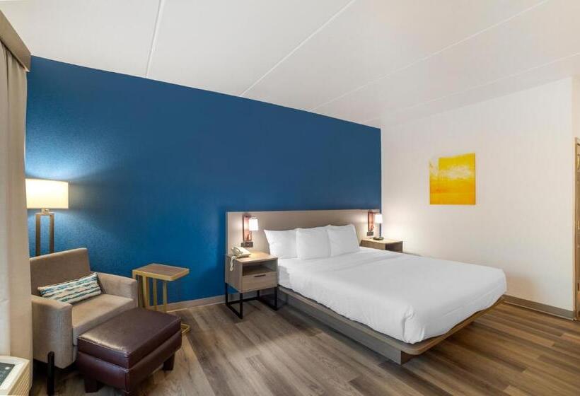 اتاق استاندارد با تخت بزرگ برای معلولان, Comfort Inn Asheville Airport