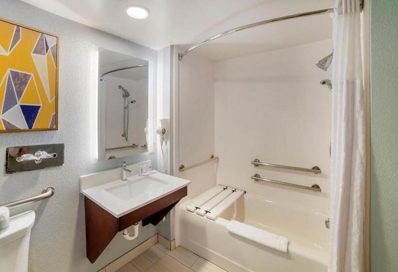 اتاق استاندارد با تخت بزرگ برای معلولان, Comfort Inn Asheville Airport