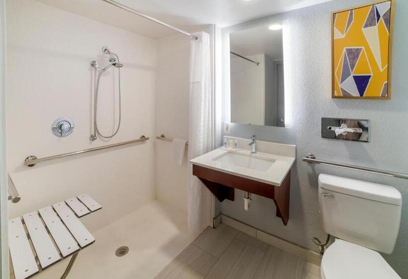 اتاق استاندارد با تخت بزرگ برای معلولان, Comfort Inn Asheville Airport