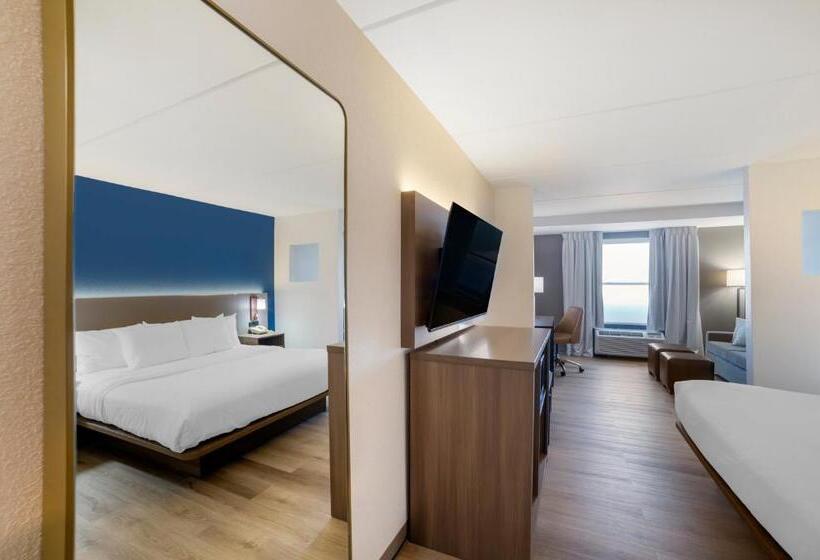 سوئیت با تخت بزرگ, Comfort Inn Asheville Airport
