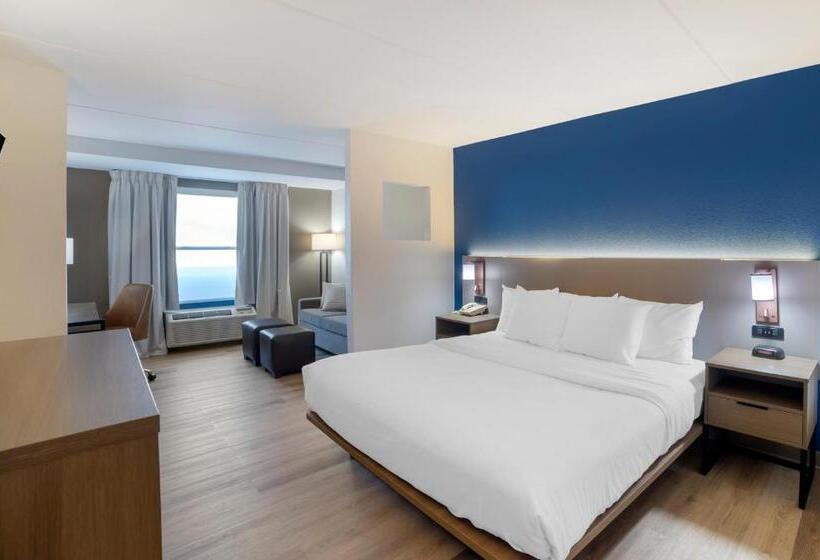 سوئیت با تخت بزرگ, Comfort Inn Asheville Airport