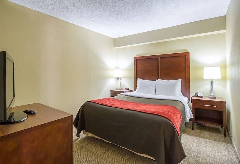 Люкс, Comfort Inn Downtown
