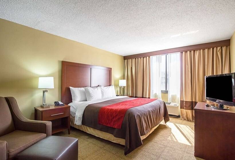 Люкс, Comfort Inn Downtown