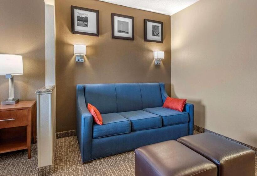 Suite Łóżko King Size, Comfort Suites Terre Haute University Area
