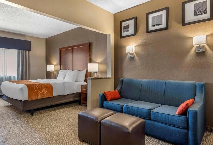 Suite Łóżko King Size, Comfort Suites Terre Haute University Area
