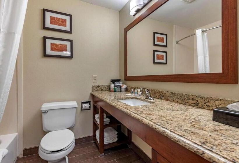 Suite, Comfort Suites Terre Haute University Area