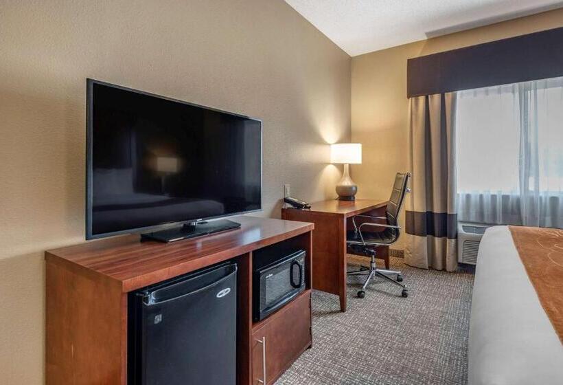 Suite Przystosowany dla Osób Niepełnosprawnych, Comfort Suites Terre Haute University Area