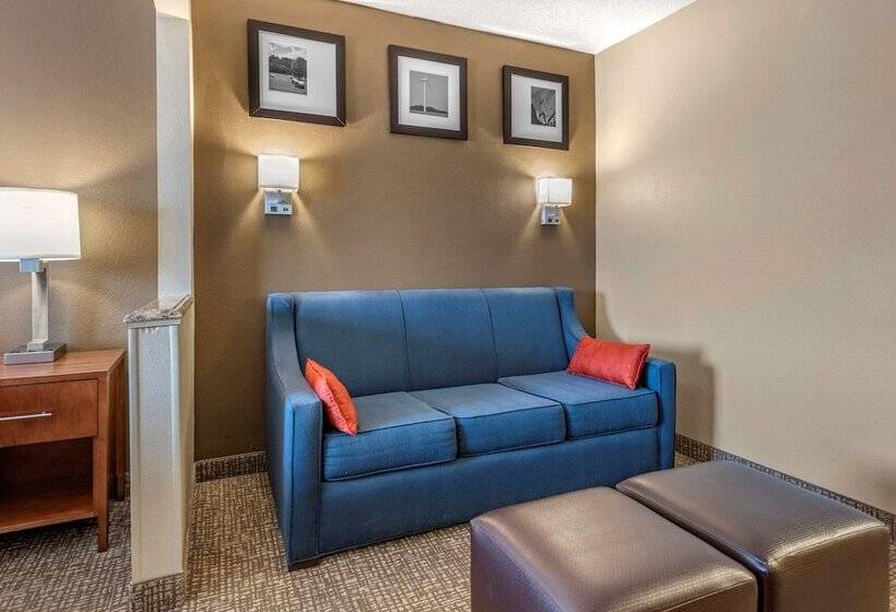 Suite, Comfort Suites Terre Haute University Area