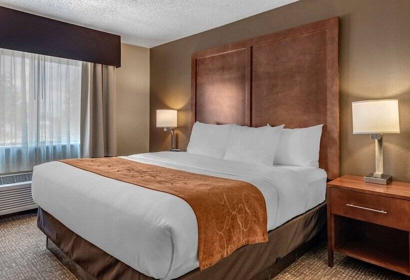 Suite, Comfort Suites Terre Haute University Area