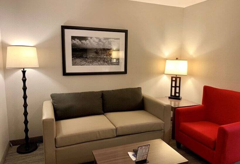 Люкс Адаптированный для Инвалидов, Country Inn & Suites By Radisson Kenosha   Pleasant Prairie