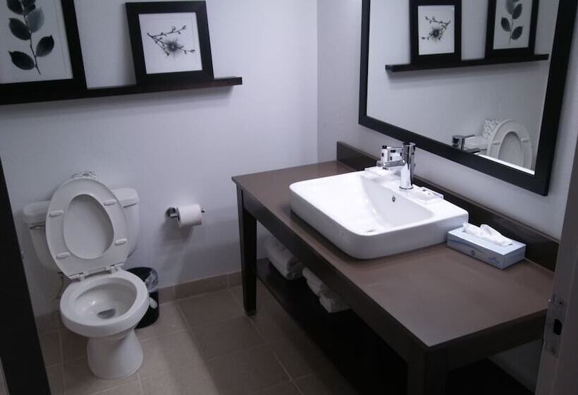 Люкс, Country Inn & Suites By Radisson, Roanoke, Va
