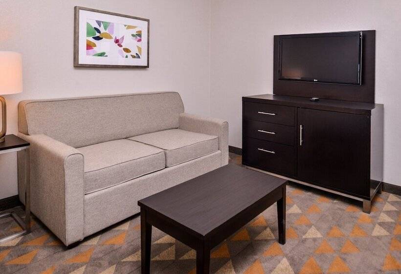 Люкс Вид на Город, Holiday Inn & Suites Dallas Addison By Ihg