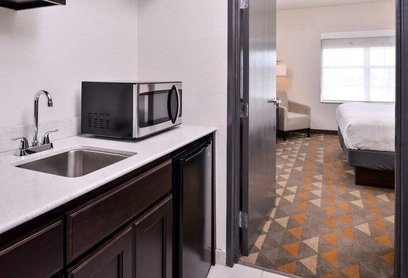 Люкс Вид на Город, Holiday Inn & Suites Dallas Addison By Ihg