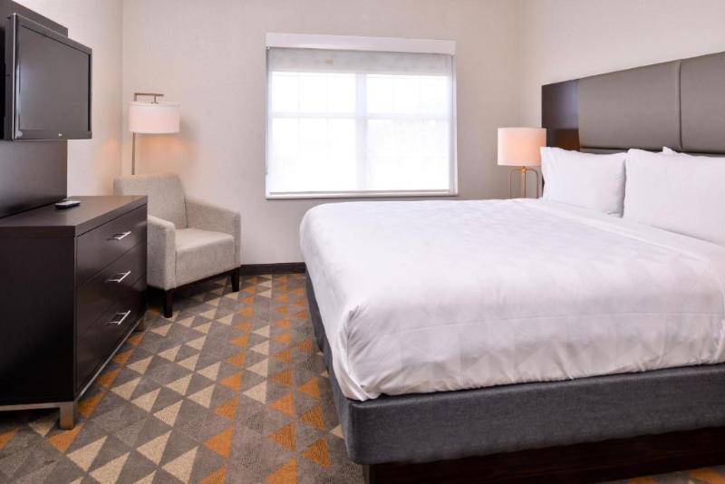 Номер Стандарт Кровать Кинг Адаптированный для Инвалидов, Holiday Inn & Suites Dallas Addison By Ihg