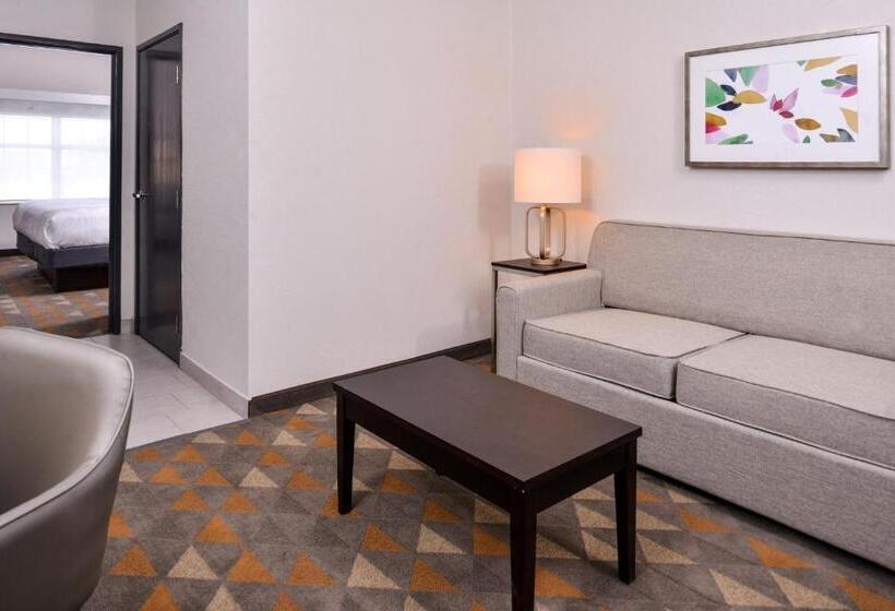 Люкс Вид на Город, Holiday Inn & Suites Dallas Addison By Ihg