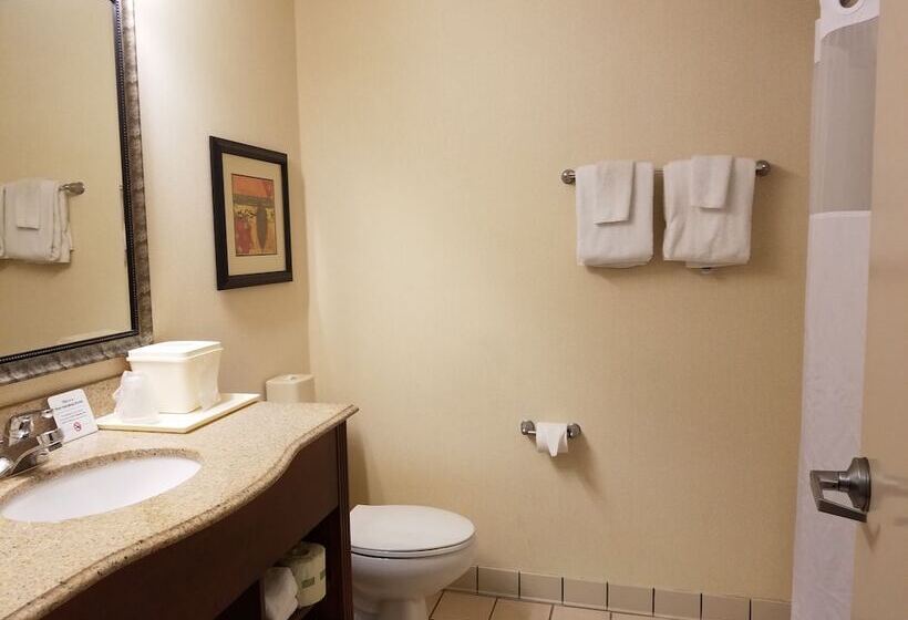 سوییت, Quality Suites Paducah I 24