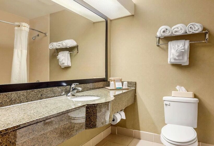 Люкс, Quality Suites Sherman