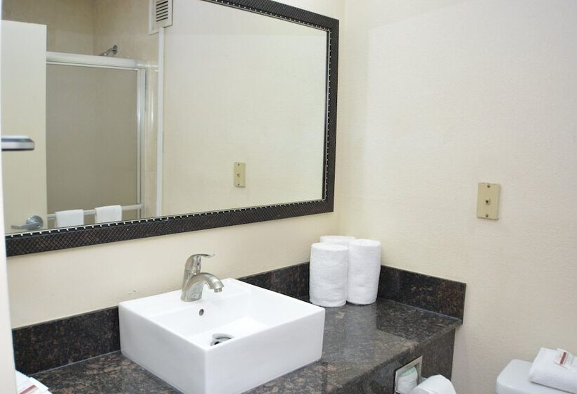 חדר דלוקס, Red Roof Inn Plus+ & Suites Chattanooga   Downtown