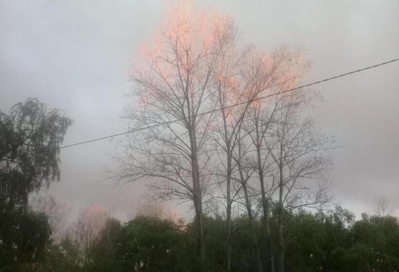 家庭洋房, Cabañas Aqui Y Ahora