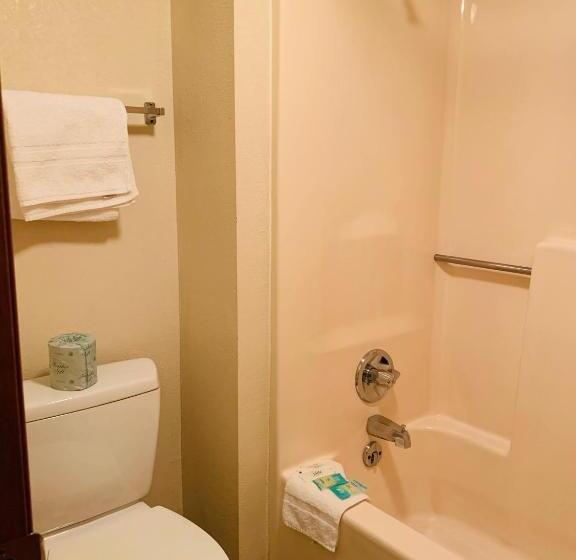 Chambre Standard avec Hidromassage, Landmark Inn