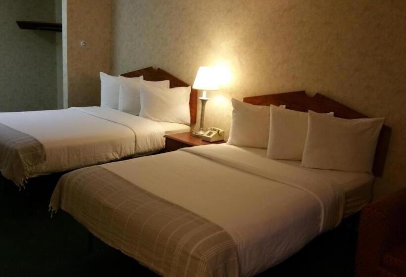 Номер Стандарт 2 Двуспальные Кровати, Dartmouth Motor Inn