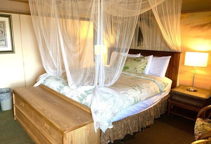Стандартный Номер Кровать Кинг, Don Q Inn
