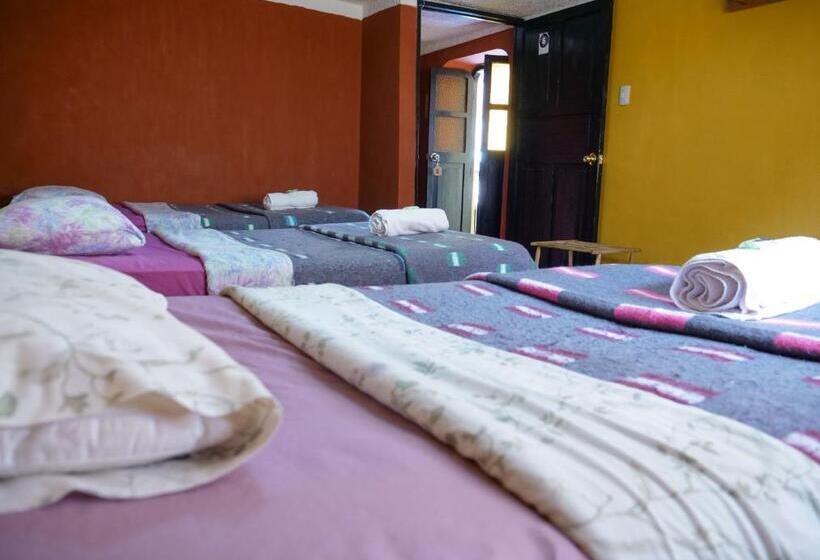 اتاق خانوادگی, B&b Sun Gate