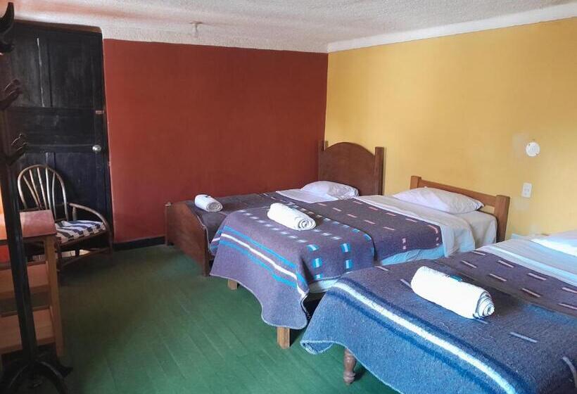 اتاق خانوادگی با سرویس بهداشتی مشترک, B&b Sun Gate