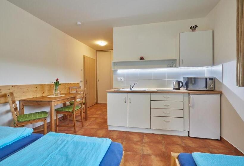 اتاق استاندارد, Skipension